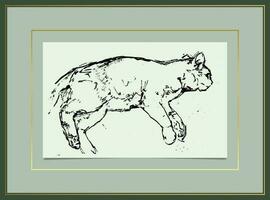 hand drawn ink sketch animal vector