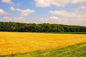 escénico rural ver foto