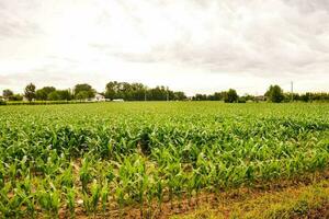 escénico rural ver foto