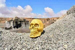 Skull miniature close-up photo