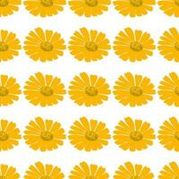 Botanical flowers dandelions seamless pattern vector illustration. Daisy plant with yellow flower on white background. Graphic design for greeting, banner, holiday, celebration, fashion, cover, art