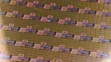 lusvormige spinnen siliconen microchip wafel met goud gekleurde chips video