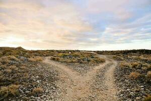 Scenic road view photo