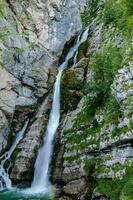 escénico bosque con agua corriente foto