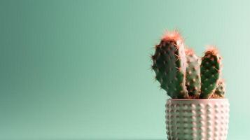 Cactus in a pot on green background. Minimal concept. photo