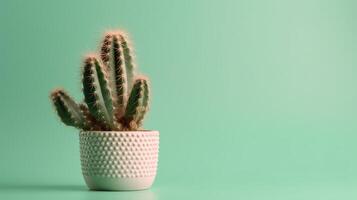 Cactus in a pot on green background. Minimal concept. photo