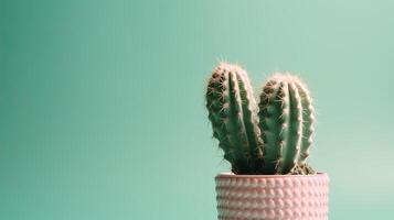 Cactus in a pot on green background. Minimal concept. photo