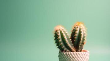 cactus en un maceta en verde antecedentes. mínimo concepto.ai generativo foto