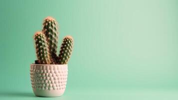 Cactus in a pot on green background. Minimal concept. photo