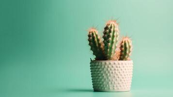 Cactus in a pot on green background. Minimal concept. photo