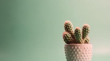 Cactus in a pot on green background. Minimal concept. photo