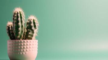 Cactus in a pot on green background. Minimal concept. photo