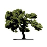 árbol aislado sobre fondo blanco vector