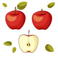 one red apple on a white background with a leaf, without a leaf, half an apple. vector illustration.