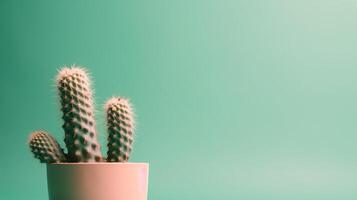 Cactus in a pot on green background. Minimal concept. photo