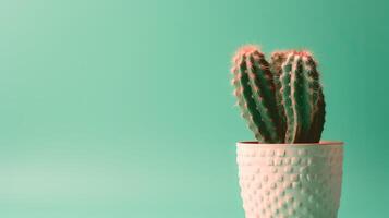 Cactus in a pot on green background. Minimal concept. photo