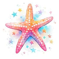 Watercolor starfish. Illustration photo