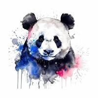 Cute watercolor panda. Illustration photo