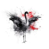 Watercolor black swan. Illustration photo