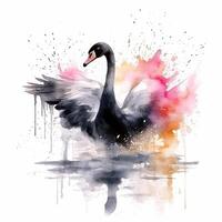 Watercolor black swan. Illustration photo