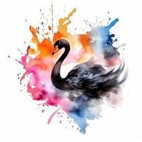 Watercolor black swan. Illustration photo