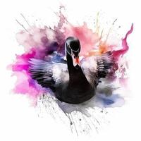 Watercolor black swan. Illustration photo