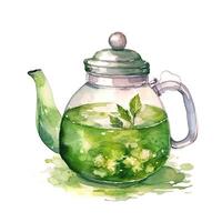 Watercolor green tea. Illustration photo