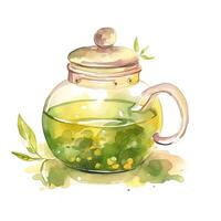 Watercolor green tea. Illustration photo