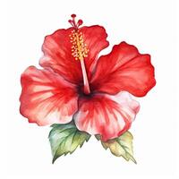 rojo acuarela hibisco flor. ilustración ai generativo foto