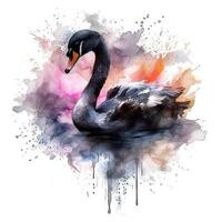 Watercolor black swan. Illustration photo