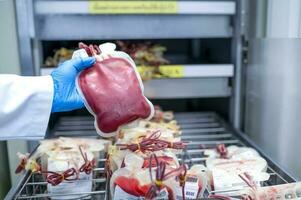 Doctor's hand holding blood bag in laboratory technician analyzing blood bag in blood bank photo