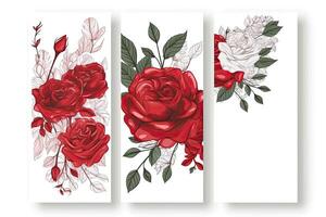Flowers roses drawing, decorated paper background, vertical banners collection for invitation, spring and wedding card, copy space at center. photo