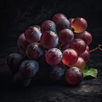 Striking Photography of Black Grapes with Water Drops on Dark Background, . photo