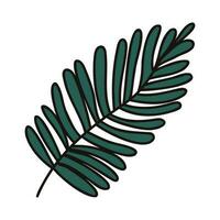 Hand Drawn palm leaves from the top view in doodle style vector