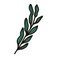 Hand Drawn palm leaves from the top view in doodle style vector