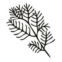 Hand Drawn leaves and twigs from the top view in doodle style vector