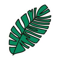 Hand Drawn palm leaves from the top view in doodle style vector