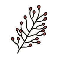 Hand Drawn leaves and twigs from the top view in doodle style vector