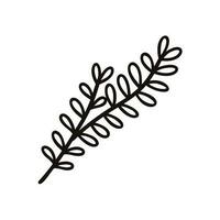 Hand Drawn leaves and twigs from the top view in doodle style vector