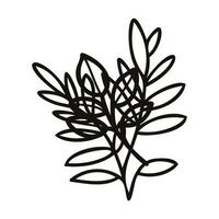 Hand Drawn leaves and twigs from the top view in doodle style vector