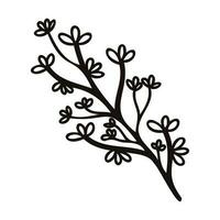 Hand Drawn leaves and twigs from the top view in doodle style vector