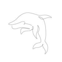 continuous line drawing of a dolphin. Vector illustration on white background.