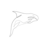 Continuous one line drawing of an orca vector illustration isolated on white background. Orcinus orca or killer whale drawing