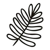 Hand Drawn palm leaves from the top view in doodle style vector