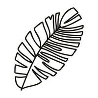 Hand Drawn palm leaves from the top view in doodle style vector