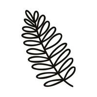 Hand Drawn palm leaves from the top view in doodle style vector