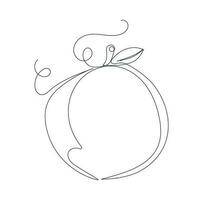 Continuous single line drawing of peach. Line art fruit vector