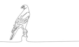 The falcon is sitting isolated on white background. Line art falcon bird. One line continuous vector illustration.