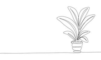 Home plant isolated on white background. Line art house plant in pot. One line continuous vector illustration.