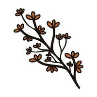 Hand Drawn leaves and twigs from the top view in doodle style vector